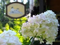Vue extérieur de l'auberge