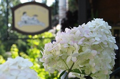 Dolce Vita fleurs de l'entr&eacute;e principale